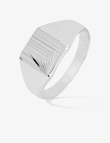 Bague chevalière en argent...