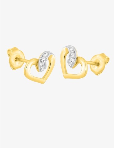 Boucles d'oreilles clous...