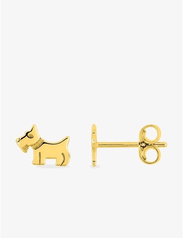 Boucles d'oreilles clous...