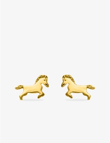 Boucles d'oreilles clous...