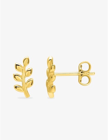 Boucles d'oreilles clous...