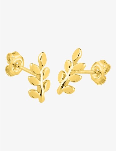 Boucles d'oreilles clous...