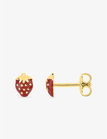 Boucles d'oreilles clous...