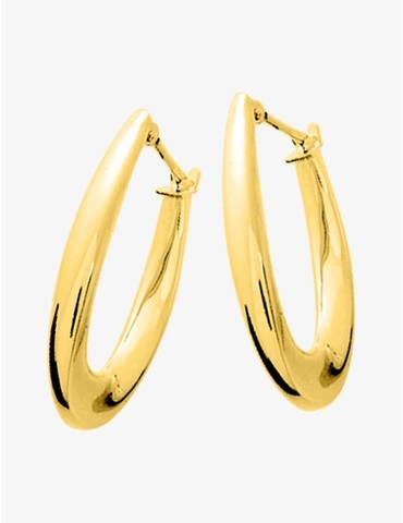 Boucles d'oreilles...