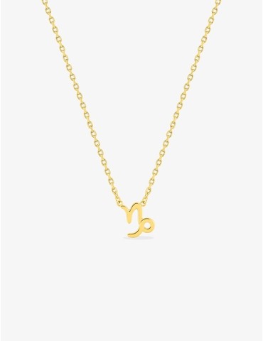 Collier zodiaque Capricorne...