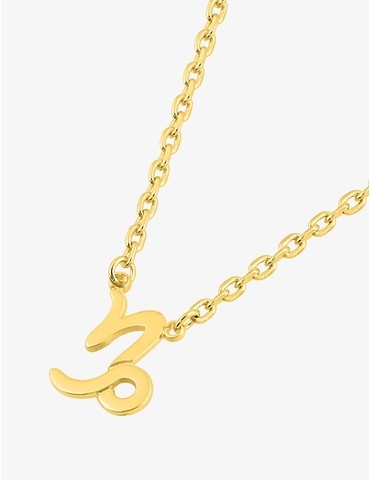 Collier zodiaque Capricorne...