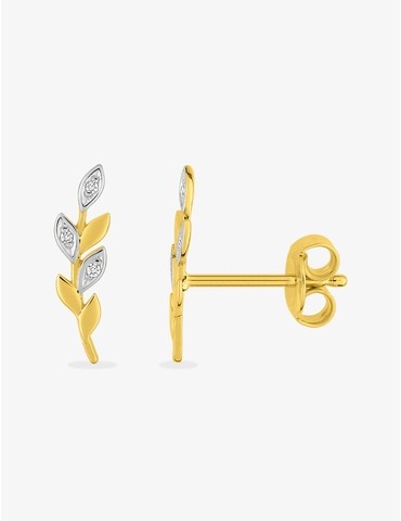 Boucles d'oreilles clous...