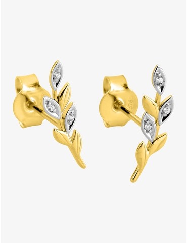 Boucles d'oreilles clous...