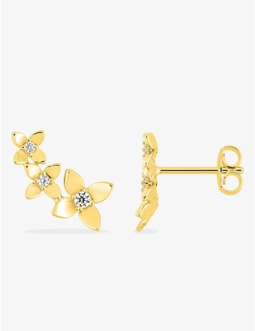 Boucles d'oreilles clou...