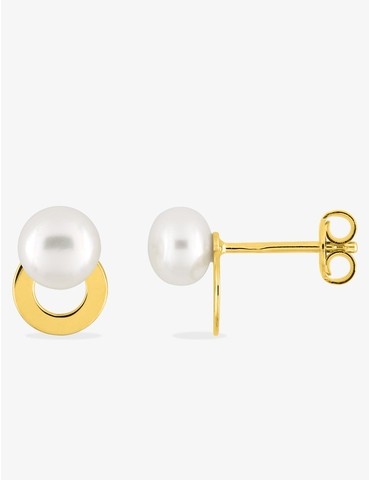 Boucles d'oreilles clous...