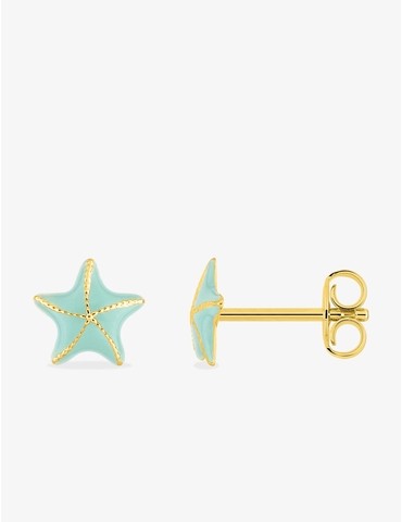 Boucles d'oreilles clous...
