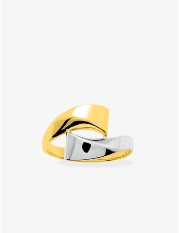 bague bicolore...