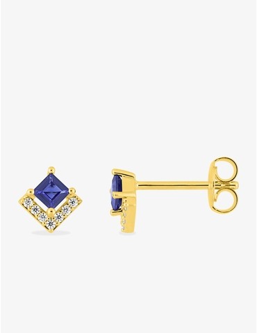 Boucles d'oreilles clous...