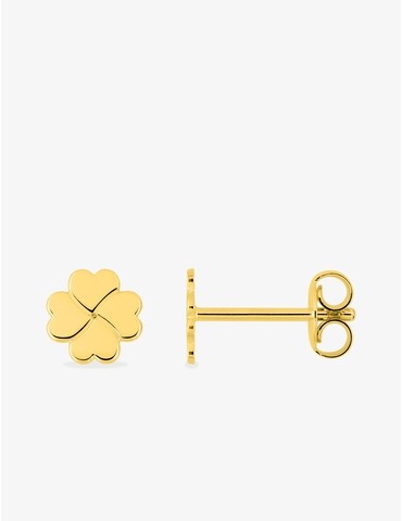 Boucles d'oreilles clous...