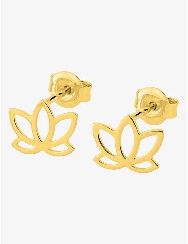 Boucles d'oreilles clous...