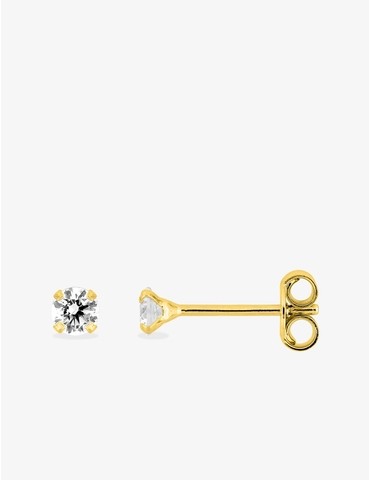 Boucles d'oreilles clous...