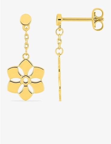 Boucles d'oreilles...