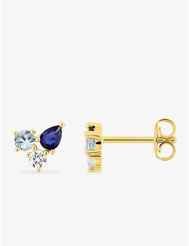 Boucles d'oreilles clou...