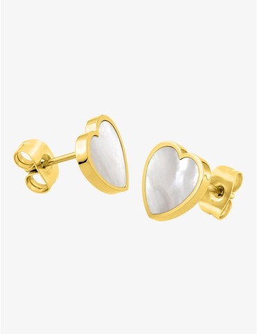 Boucles d'oreilles en acier...