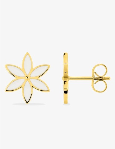 Boucles d'oreilles clous en...