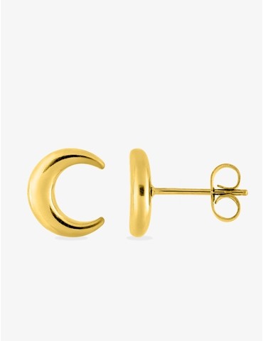 Boucles d'oreilles clous...