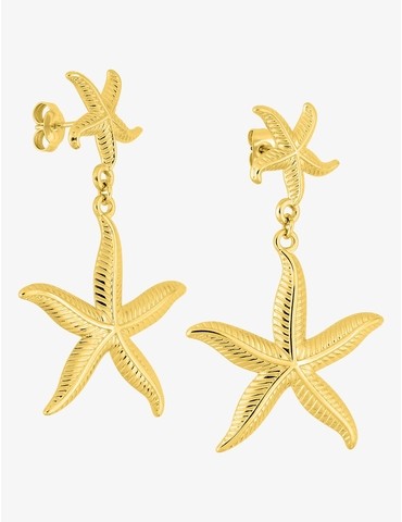 Boucles d'oreilles...