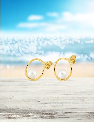 Boucles d'oreilles anneau...
