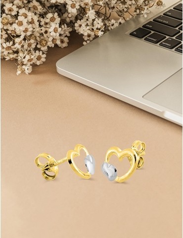 Boucles d'oreilles...