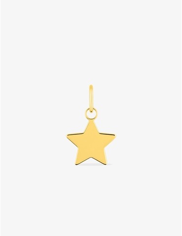 Pendentif étoile en or...