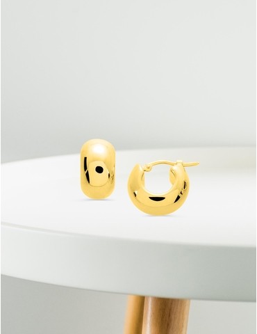 Boucles d'oreilles créoles...