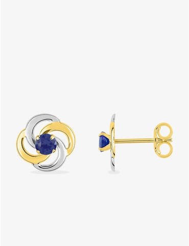 Boucles d'oreilles rosaces...
