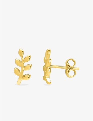 Boucles d'oreilles clous or...