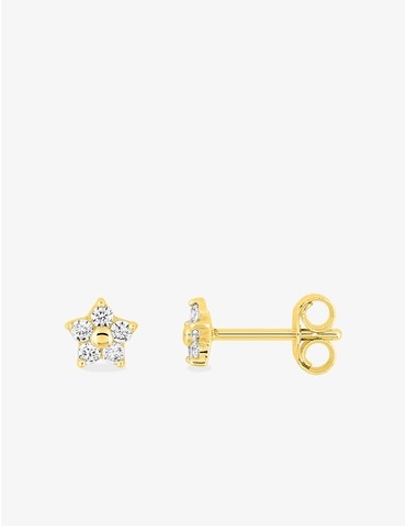 Boucles d'oreilles fleur or...