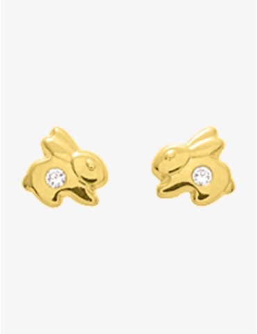 Boucles d'oreilles clous...