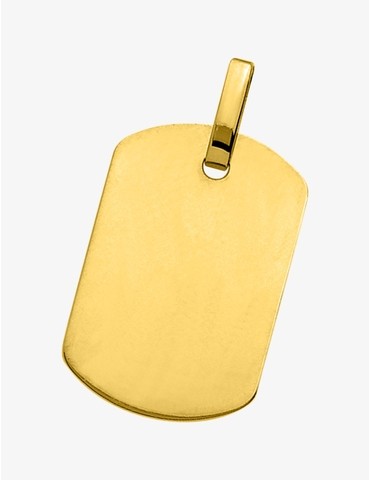 Plaque G.I 28 x 19 mm or...
