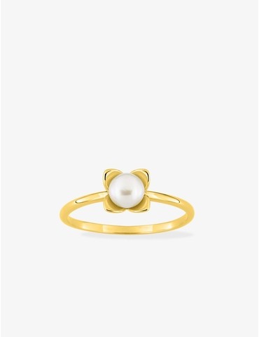 Bague en or jaune 750‰ et...