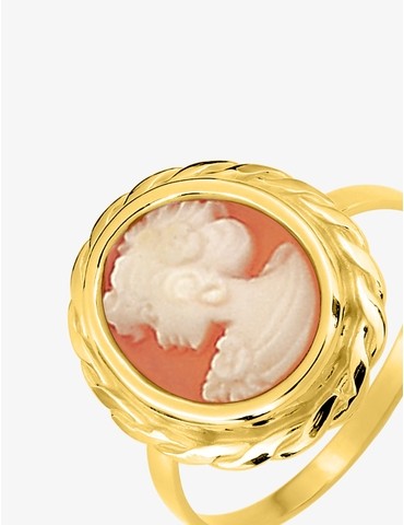 Bague en or jaune 375 ‰ et...