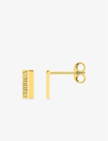 Boucles d'oreilles clous...