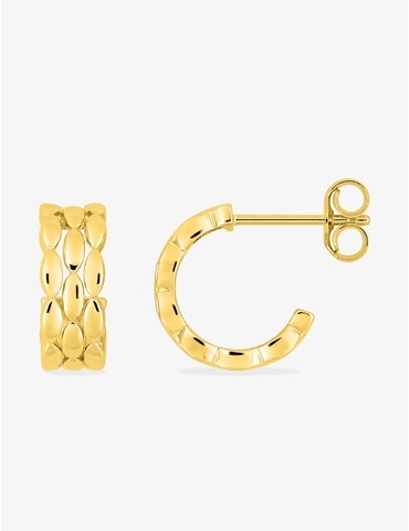 Boucles d'oreilles...