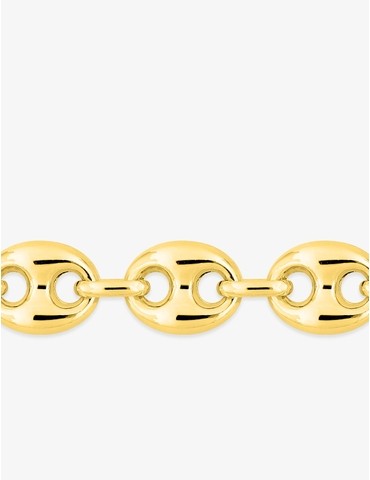 Chaine multilongueurs en or...