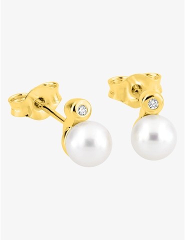 Boucles d'oreilles clou en...